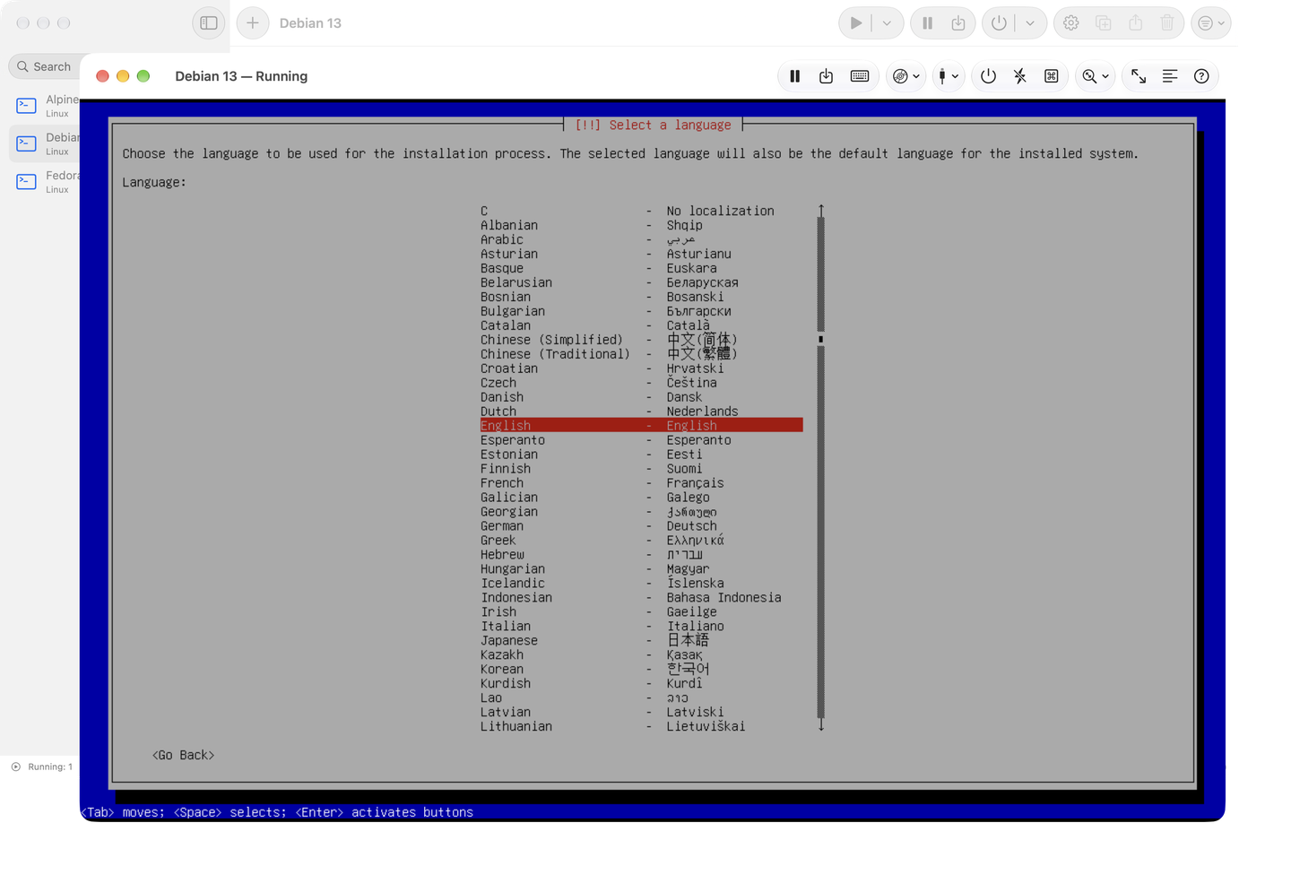 The console with the Debian installer
